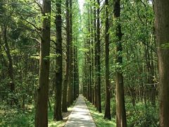 -同里国家湿地公园