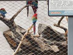 -南昌动物园