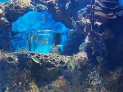 -多彩贵州城极地海洋世界