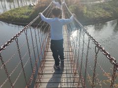 -合肥滨湖国家森林公园