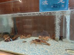 水产区-大渔小鲜火锅店