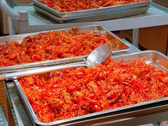 -海岛八号龙虾烧烤田鸡(蓝天路总店)