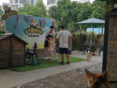 -柴犬高等学院·狗咖·柴犬售卖·宠物训练