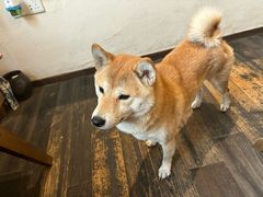 -三目仓咖啡(贤南路店)