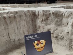 -金沙遗址博物馆