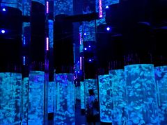 -成都浩海立方海洋公园