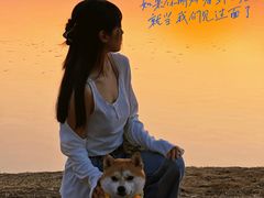 -丁香湖公园