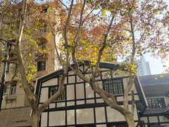 -一尺花园(安和花园店)