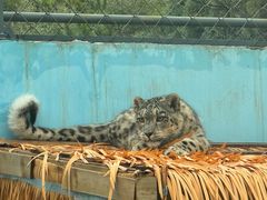 -青藏高原野生动物园