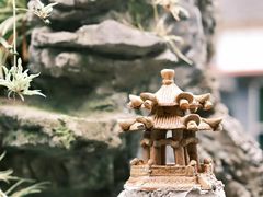 -海韵人家.海景花园经典云南菜(双廊店)