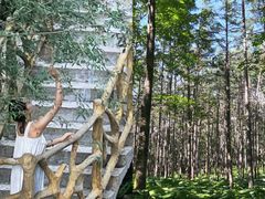 -洛阳白云山景区