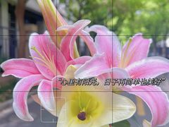 -九老汉·川渝江湖菜(合川路2店)