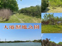 -大港湿地公园