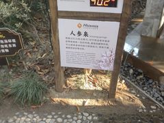 -张家港金凤凰度假村温泉