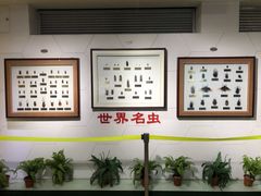 -上海昆虫博物馆