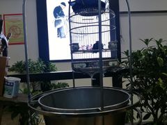 -鸭王烤鸭店(三里河店)