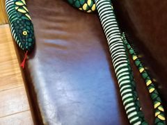 -伯爵·沉浸式超级密室·直营店