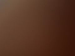 -大连富丽华大酒店