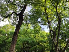 -晓港公园