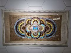 -上海昆虫博物馆