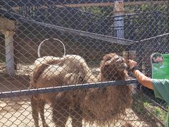 -大连森林动物园