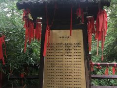 -梦姑塘文化公园