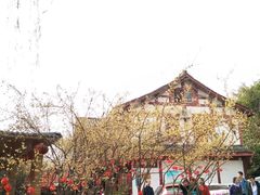 -三圣花乡旅游区