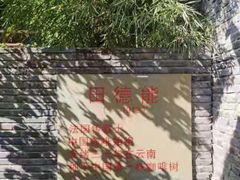 -田德能咖啡博物馆
