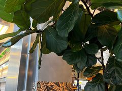 -OUR Bakery(三里屯太古里店)