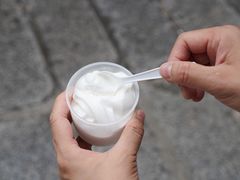 椰子雪糕-洪馨椰子