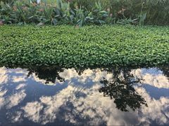 -那考河湿地公园