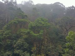 -海南热带雨林国家公园吊罗山景区