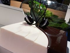-BLACKSWAN黑天鹅(环球店)