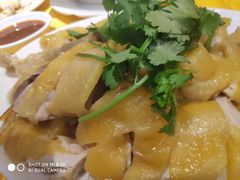 -黄B湛江鸡饭店(粤垦路店)