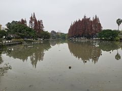 -江心屿景区
