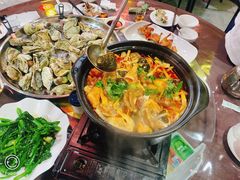 -东鸽皇(奥园·中环广场店)