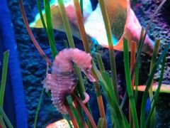 -沈阳海洋探索中心