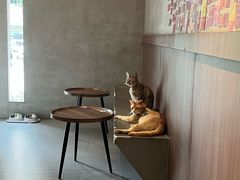 -Again Coffee Roaster(香蜜湖店)