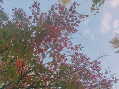 -九龙潭景区