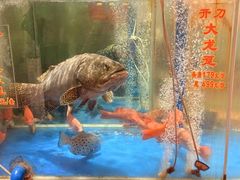 -惠食佳(滨江大公馆店)