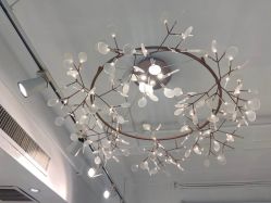 -潘多拉Hairsalon