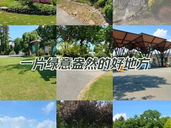 -上海长兴岛郊野公园