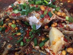 -风鑫铃罗非鱼(道沟店)