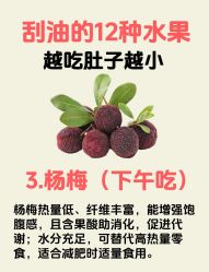 -Fundi张玉珊修身堂·indiba·BTL科技瘦身