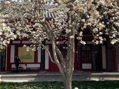 -大慈恩寺(大雁塔)