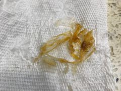 -肥妹烧腊店(洪湖店)