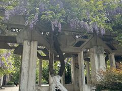 -西安市纺织公园