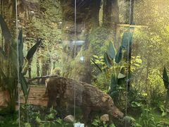 -下渚湖国家湿地公园科普馆