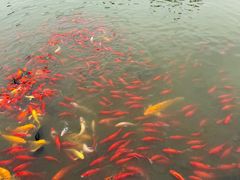 -狼山风景名胜区