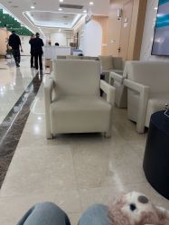 -上海伊莱美医疗美容医院